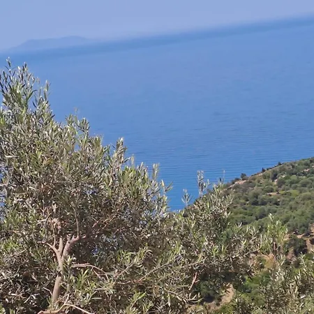 Adriatik Aa Piqeras